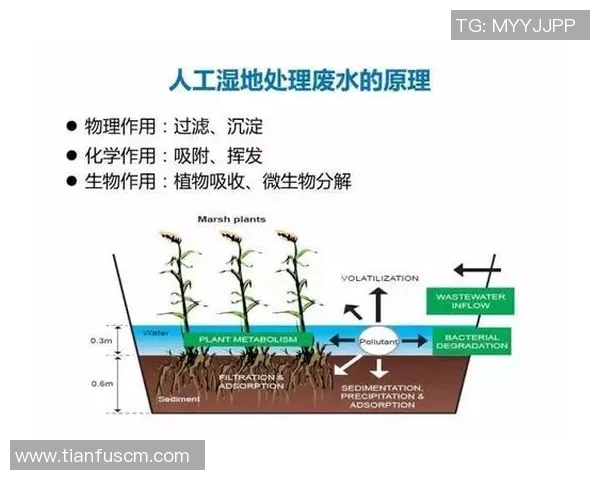 科学排球训练新方法提升运动员状态与竞技表现的全面指南