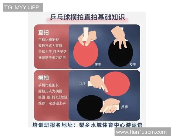 赵秀英独家分享乒乓球技巧与心得体会助你提升球技的秘籍与经验