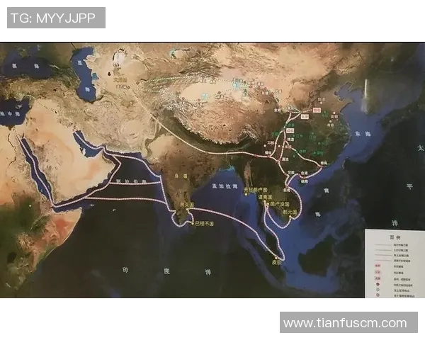 成都篮球队精英赛征程回顾与突破之路的深度解析