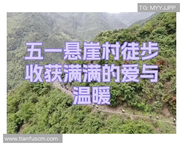 李伟的排球人生：从热爱到巅峰的深度对话与心路历程