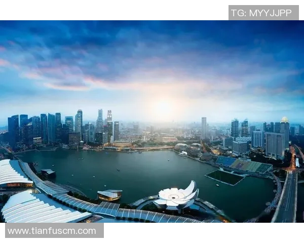 新加坡政府宣布将加大对创新科技领域的投资推动经济转型与增长